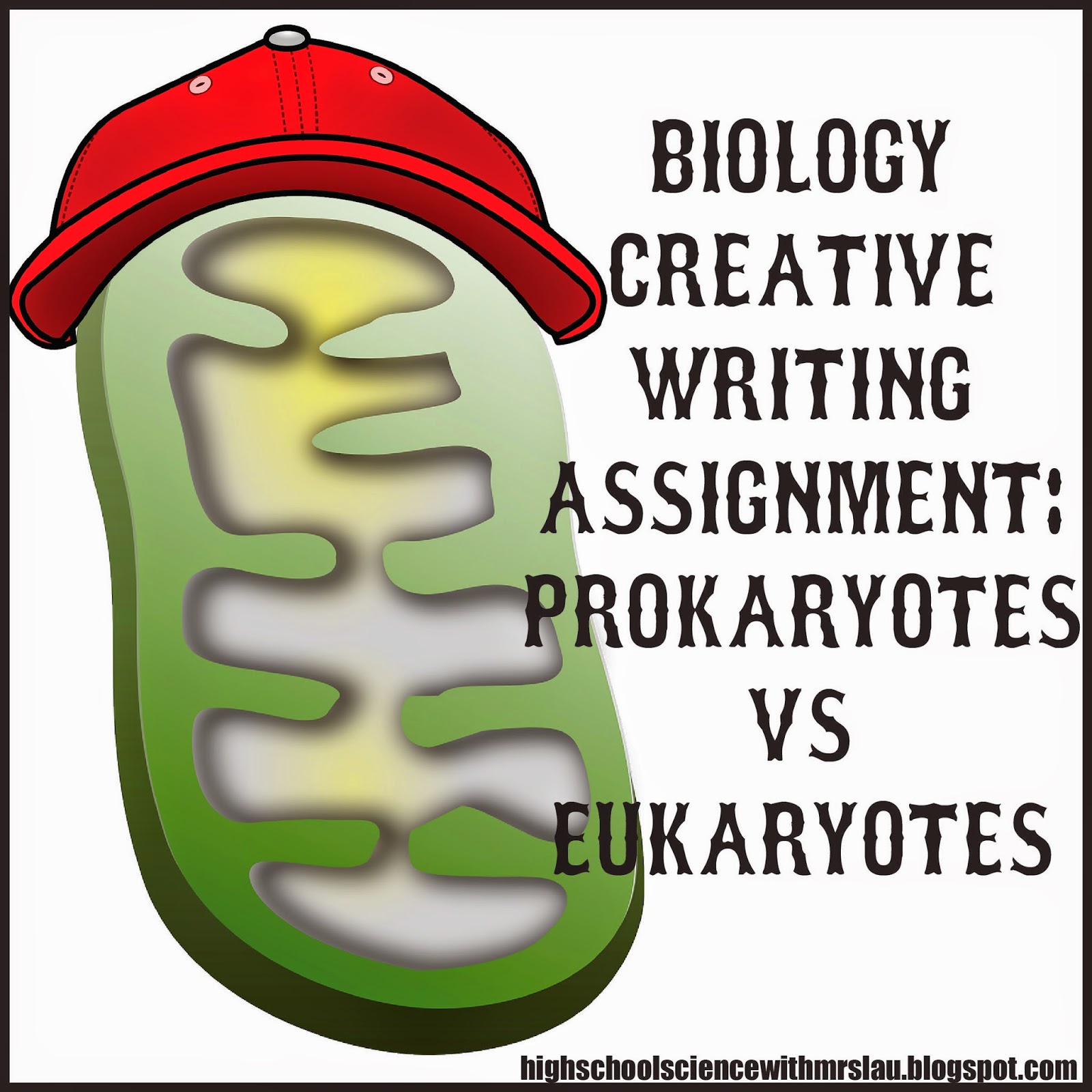 Creative writing homework assignments