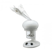 MINI STEAMER HOME SPA