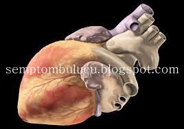 Saglik Probleminiz Nedir Kalbin Hizli Atmasi Aritmi