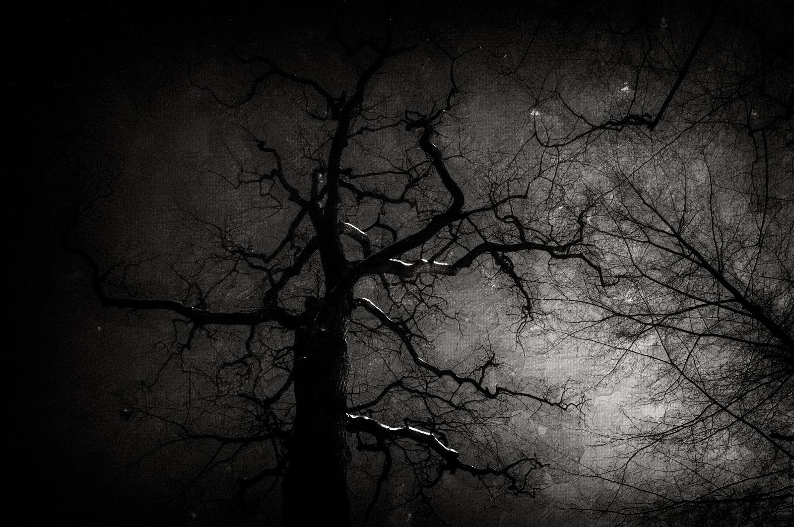 Choses Vues Mars 2013