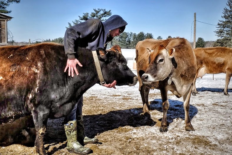 Less Noise, More Green Connecting with our food raw milk from