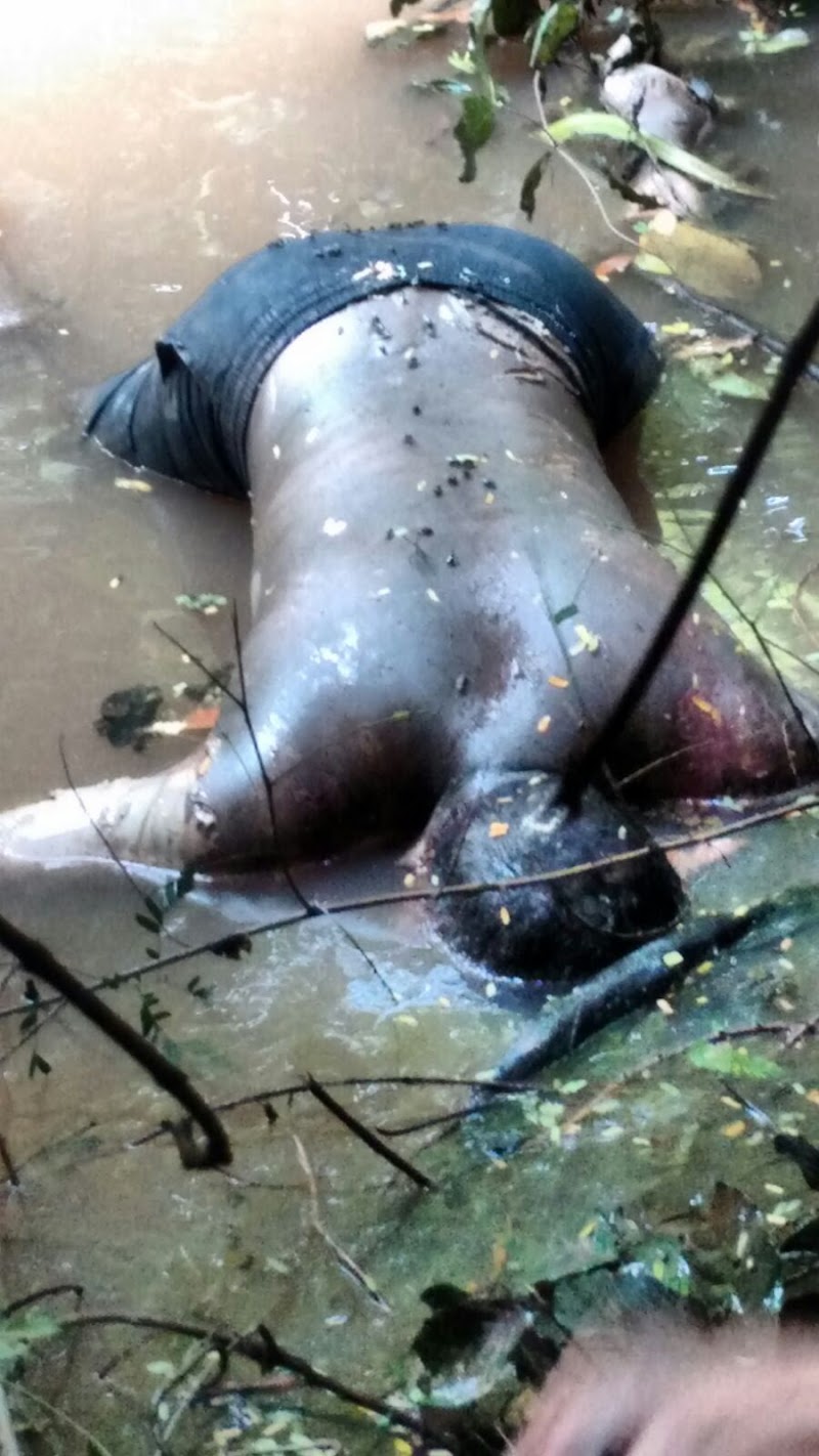 Corpo de homem é encontrado boiando em rio em Imperatriz-MA
