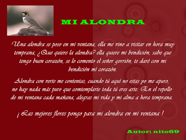 MI ALONDRA