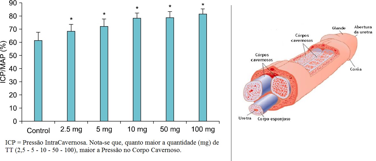 Paulo Mendes Consultoria em Saúde Tribulus terrestris pode melhorar