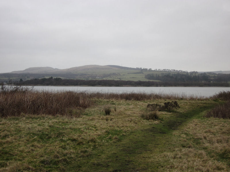 Fields behind Ardmore: