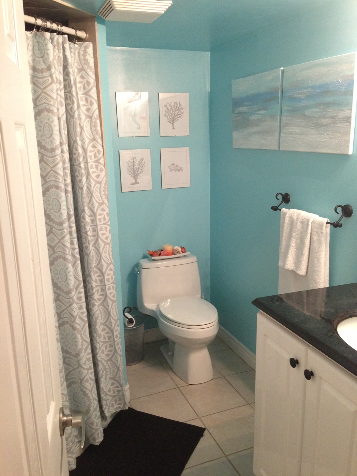 Decorating Ideas # Andrées Quick N Easy Bathroom Makeover ~ Marketplace Events Decorating Ideas # Andrées Quick N Easy Bathroom Makeover ~ Marketplace Events