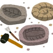 化石のイラスト