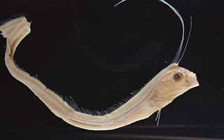 Get Auch aus steinen morir dir en donin weg gelegt werden kannst du etwas schoenes bauen HD Auch Aus Steinen Morir Dir En Donin Weg Gelegt Werden Kannst Du Etwas Schoenes Bauen