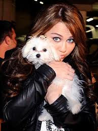 Miley Cyrus and dog