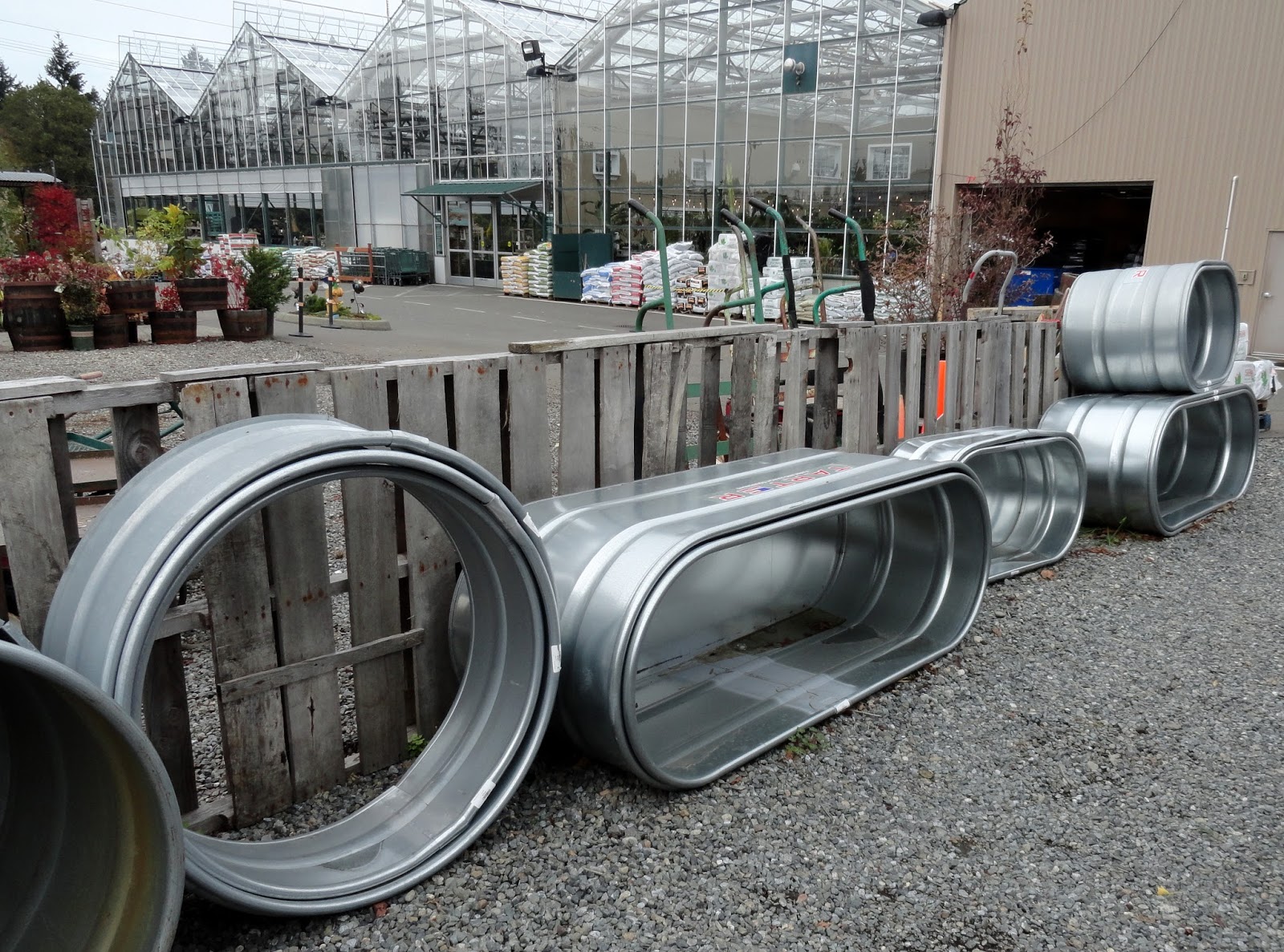 Colorful Fall Plants From Grumpy S Garden