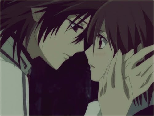 Vampire Knight Vampire Knight