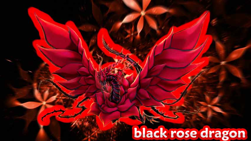 اليوم سوف اقدم لكم خلفية جديدة. black rose dragon. 