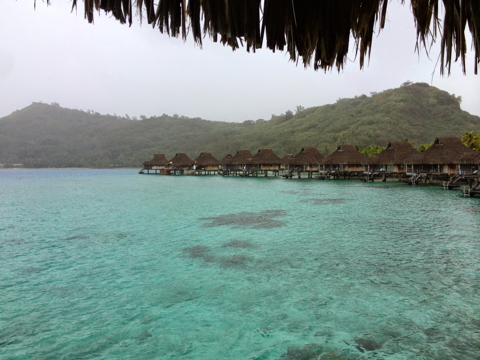 続 気が向いたら書く日記 タヒチ ２日目 ボラボラ島