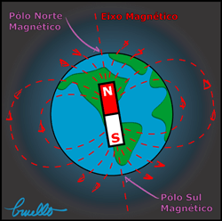 Partes da fisica