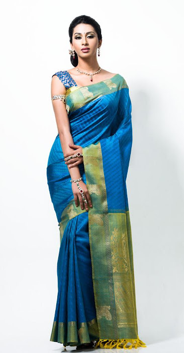 gayathiri wonderful saree ad collections 2012 latest photos