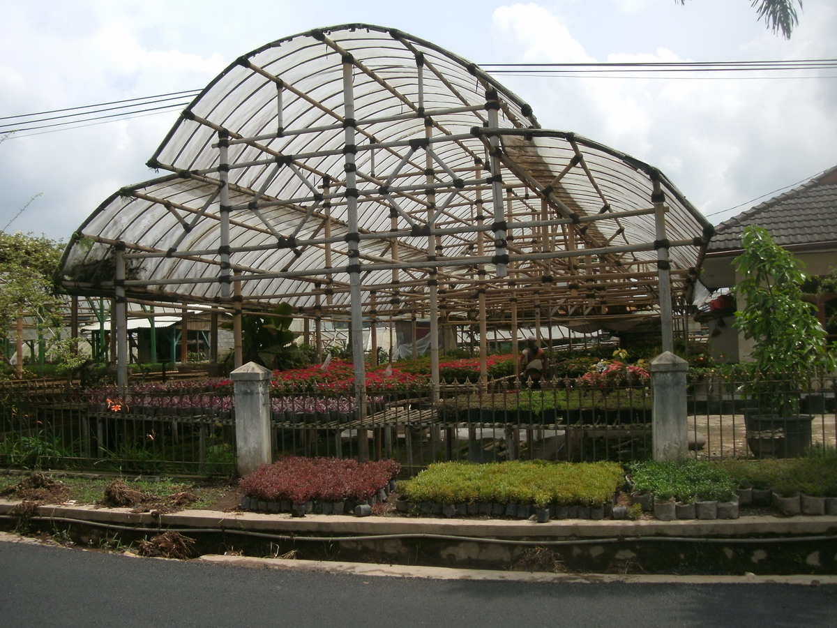 . KERANGKA BAMBU UNTUK GREEN HOUSE BUNGA POTONG