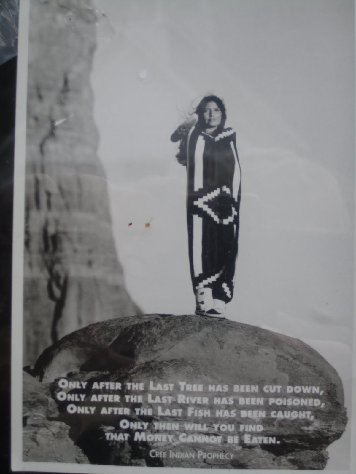 cree prophecy
