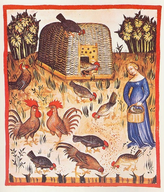 Project boobs hentai sample Medieval orgy with chicken