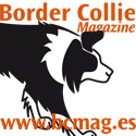 Border Collie Magazine