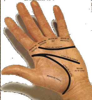 LEER LAS RAYAS DE LA MANO leer las rayas de la mano: