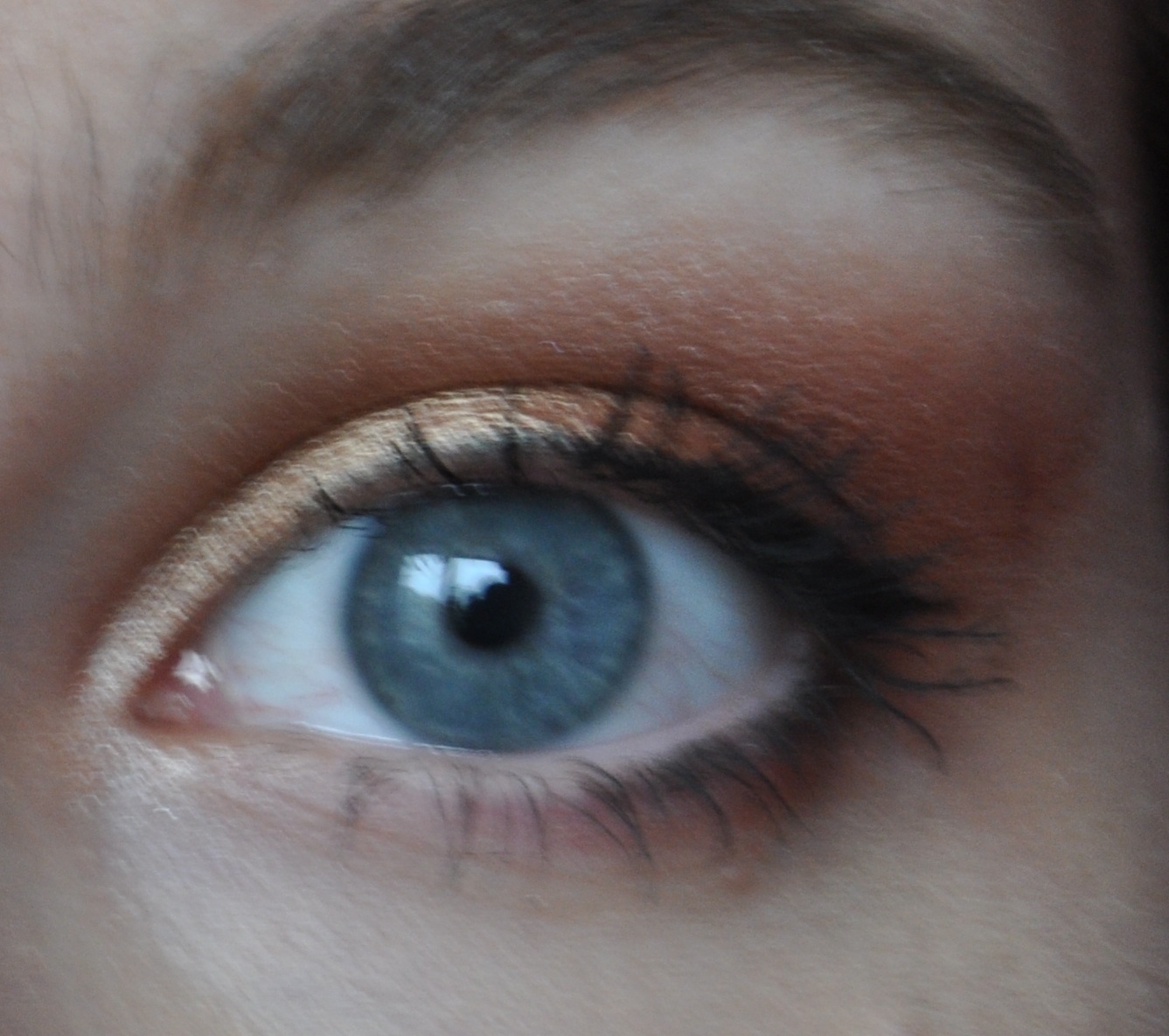 A Delightful Gazette Warm eyeshadow for blue eyes copper tutorial