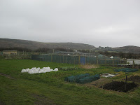 St Ives Cornwall - Allotment