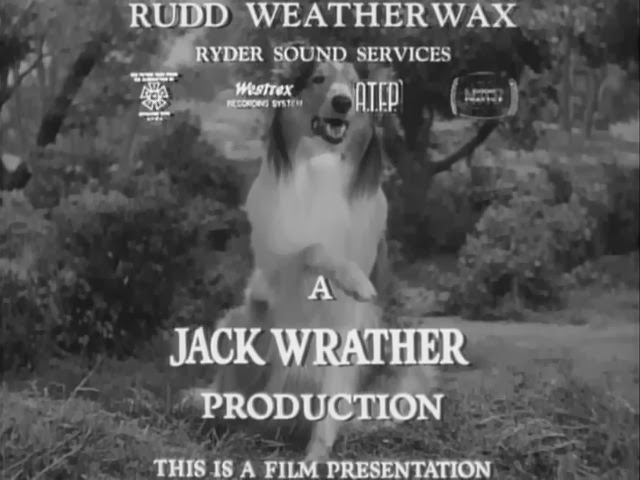 Lassie' star Jon Provost says Timmy was never trapped in a well: 'We just  don't know where that came from