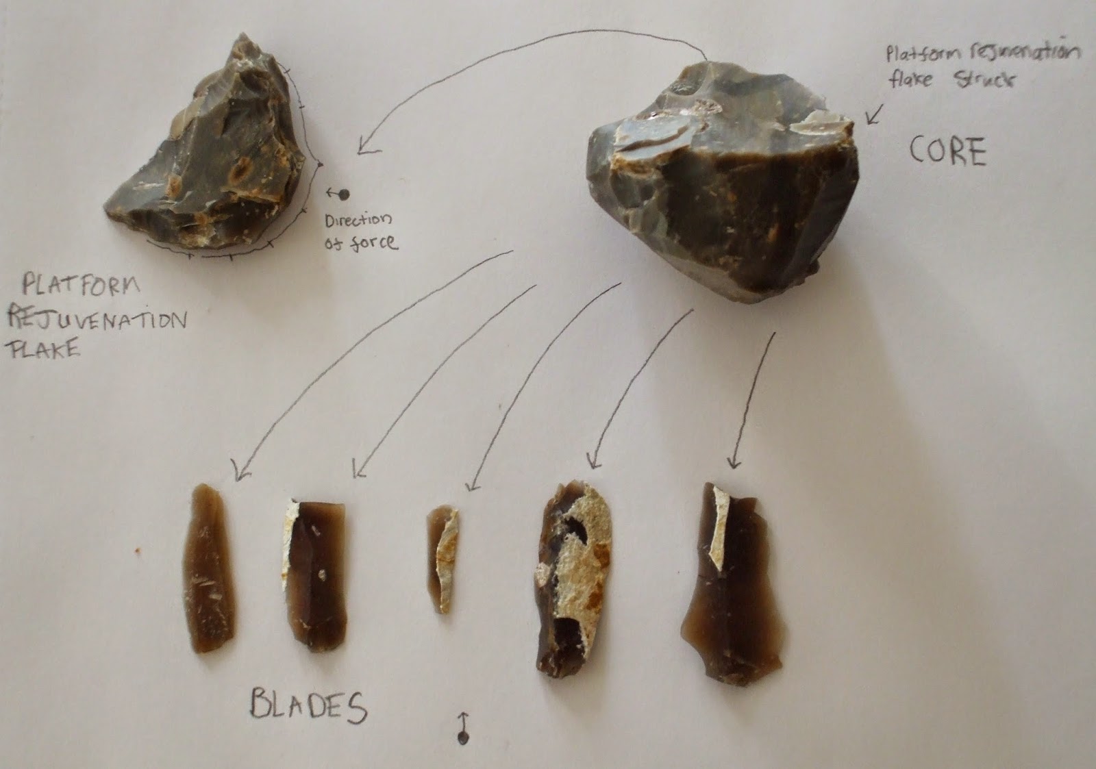 EVERYTHING ABOUT ARCHAEOLOGY WHAT IS THE CORE REJUVENATION FLAKE