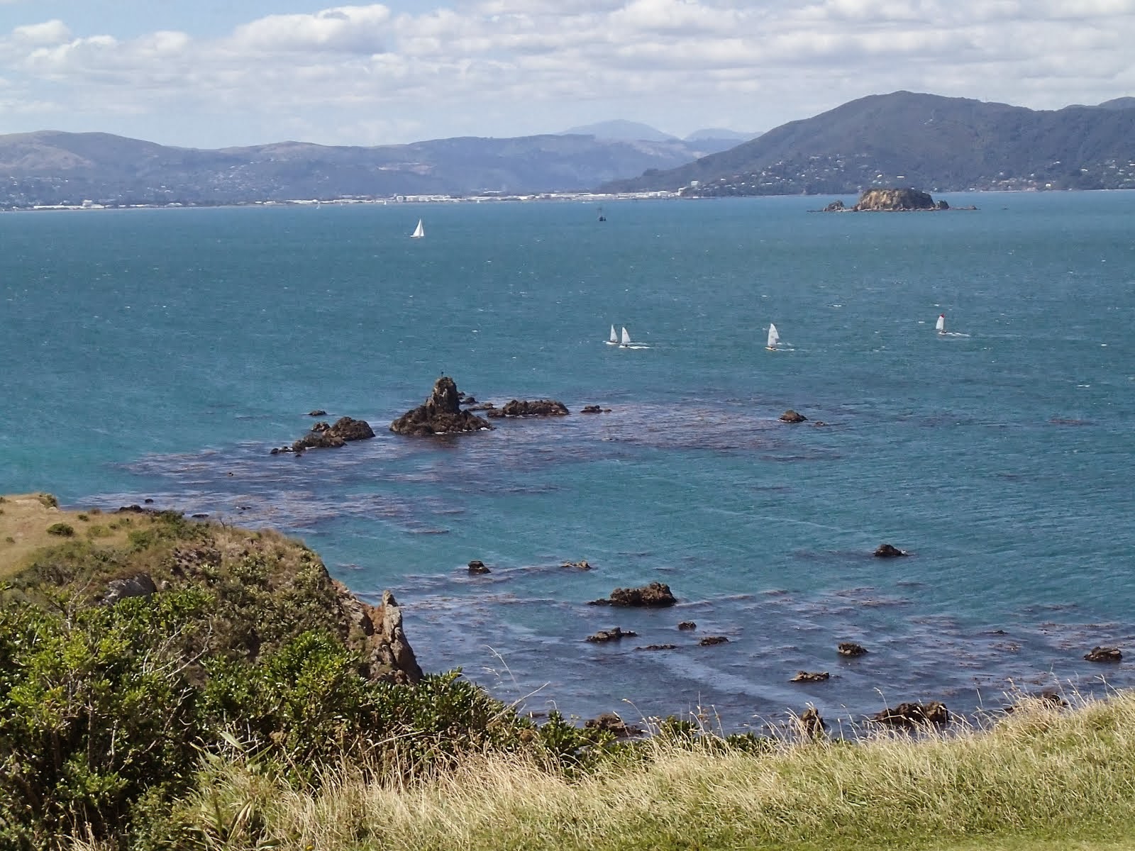 Wellington Harbour looking north from Seatoun and Point Dorset