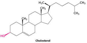 Struktur umum steroid