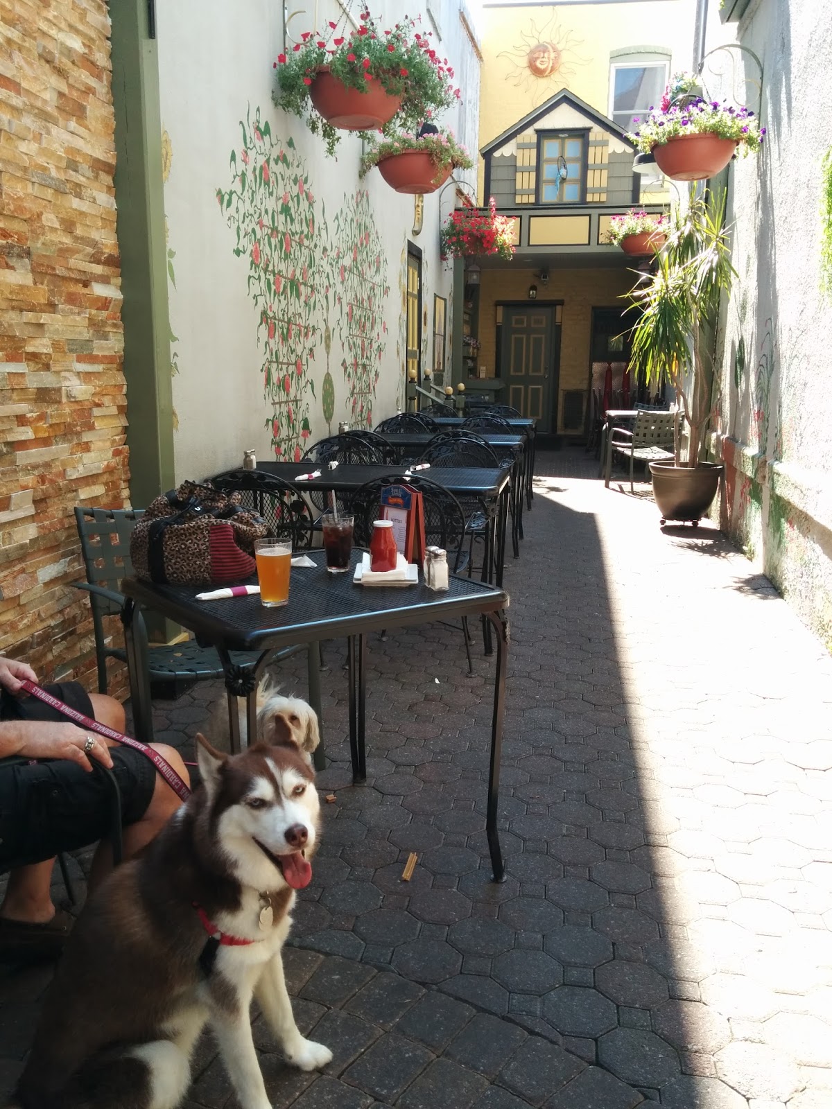 Dogs Luv Us and We Luv Them Lunch At A Dog Friendly Cafe