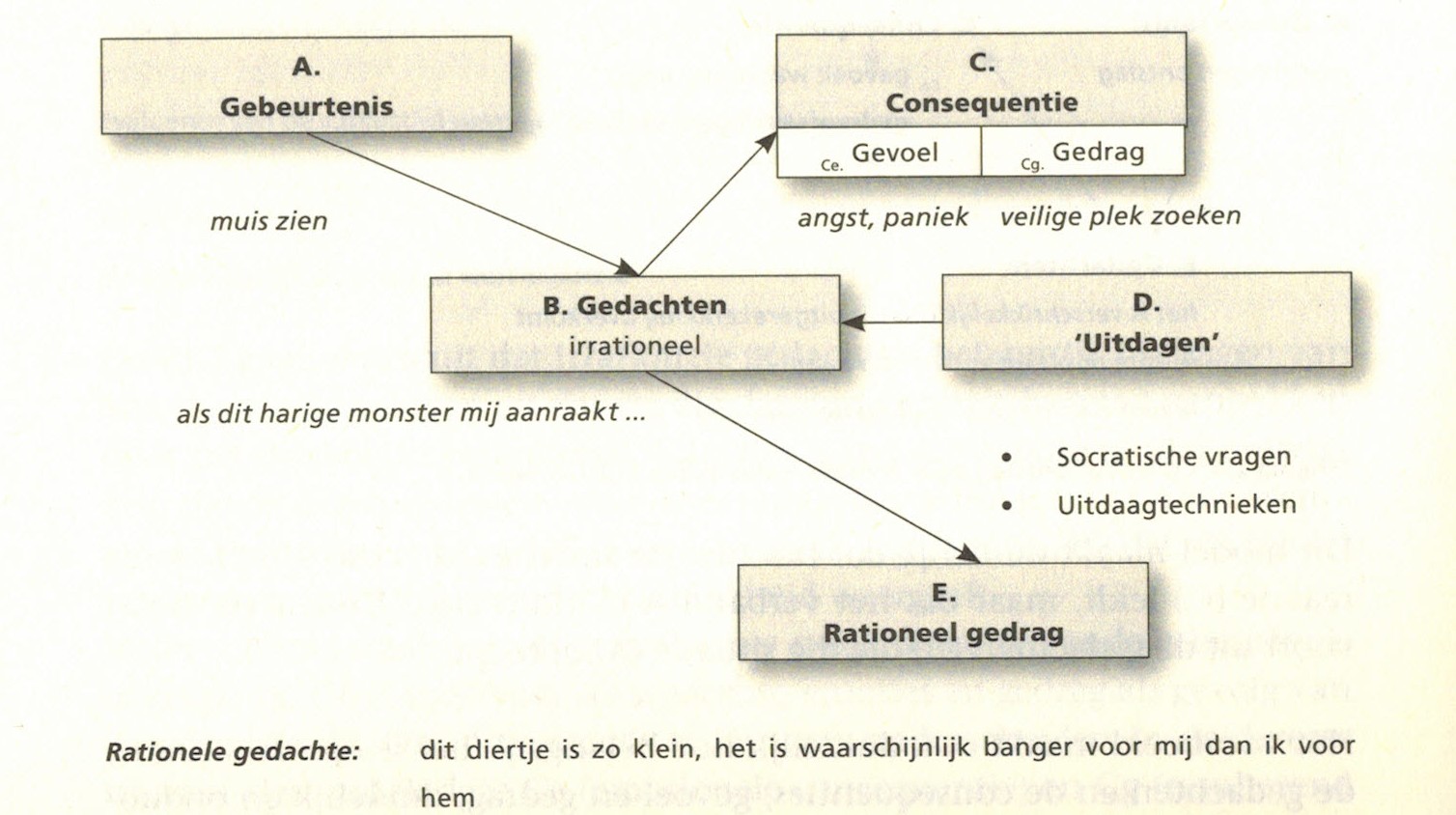 rationeel gedrag