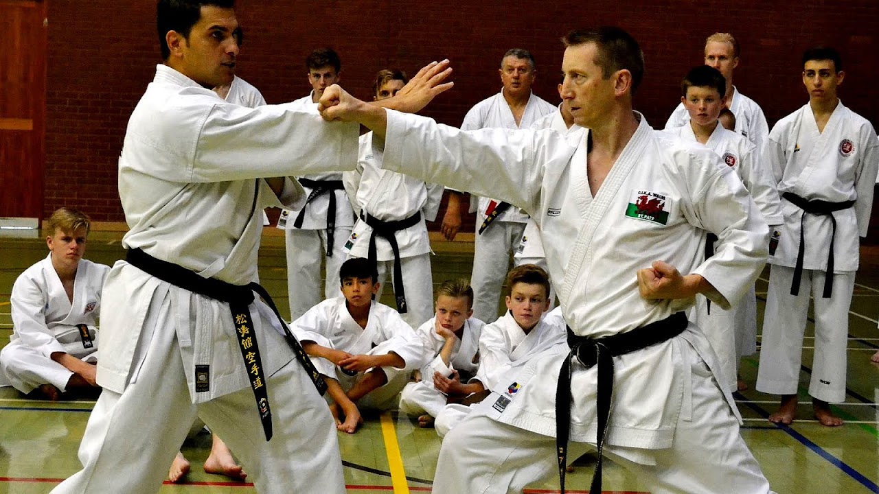 Budokan karate - Cardiff Karate