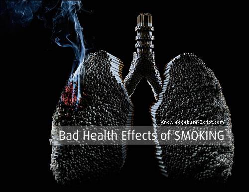 Protect India: BAD EFFECTS OF SMOKING