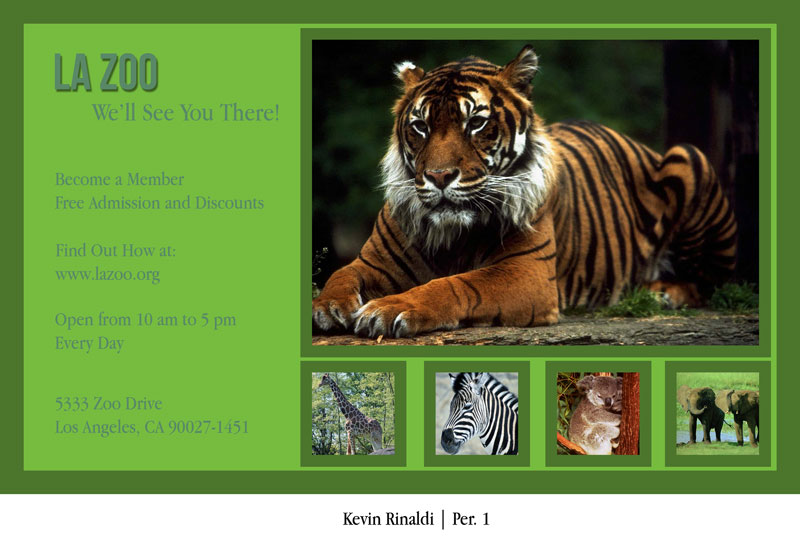 Kevin Rinaldi in Graphic Design LA Zoo Postcard