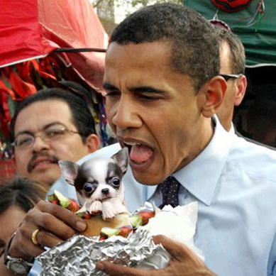 obama_eats_dog.jpg