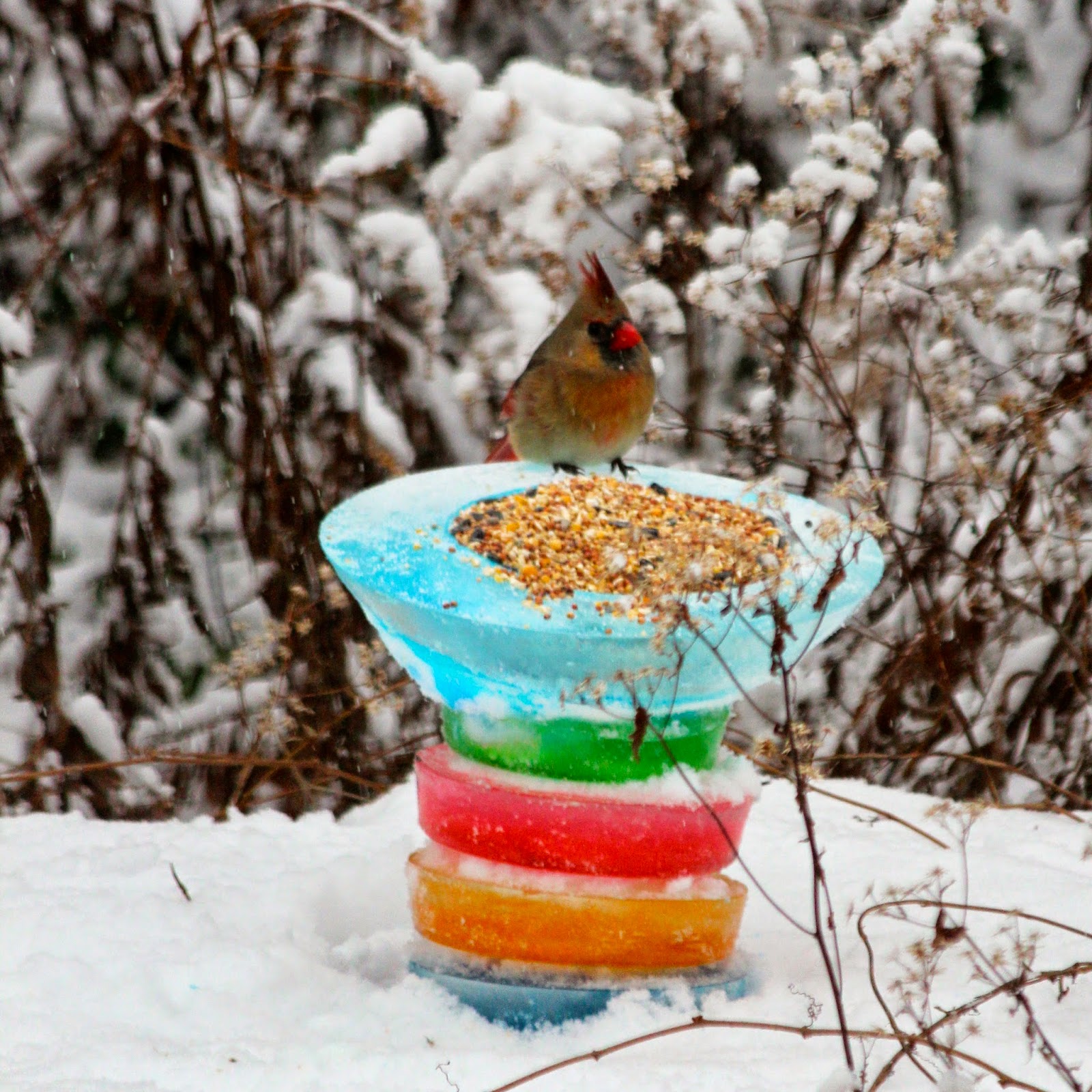 The Blue Barn Rainbow Iced Bird Feeder