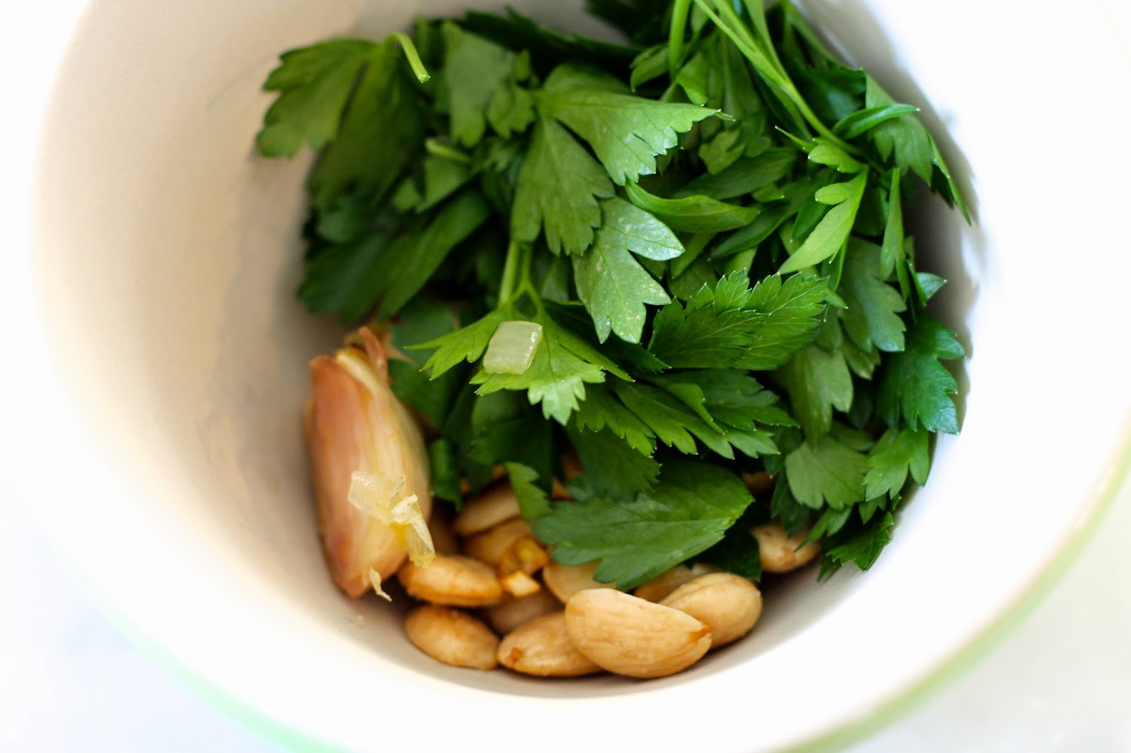 Saffron & Sun Cardoon in Marcona Almond Sauce