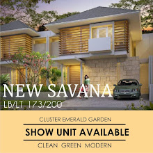 New Savanna
