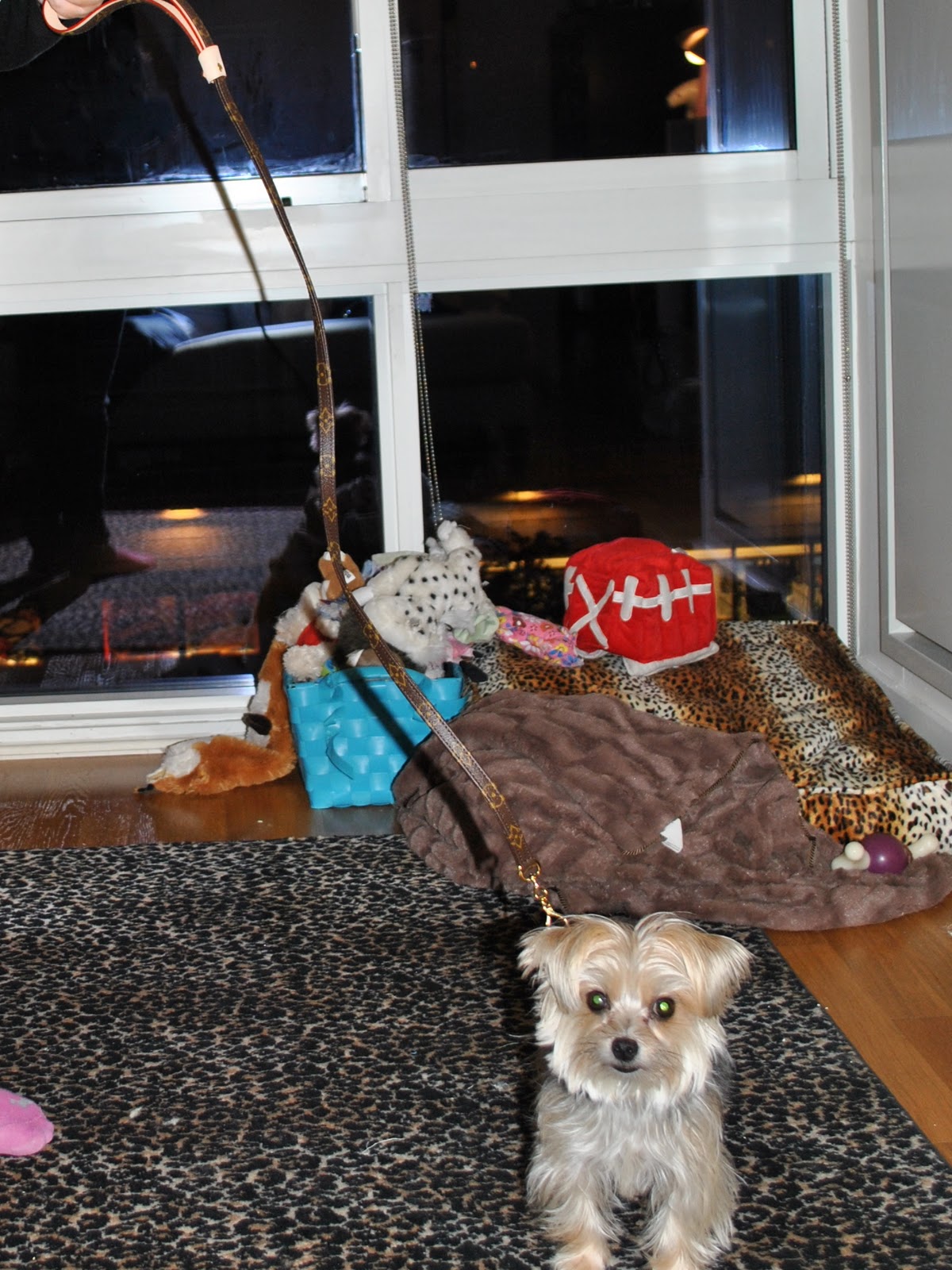 Barkzilla: A Savvy NYC Dog Blog: Louis Vuitton Baxter Dog Leash
