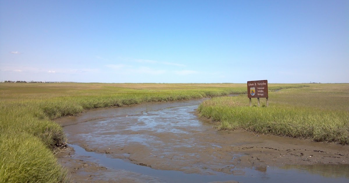 Hidden New Jersey Confronted by the Jersey Devil at Leeds Point