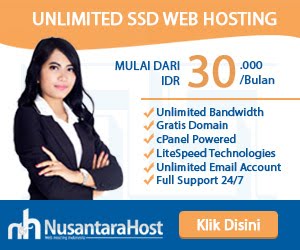 Promo Domain Hosting