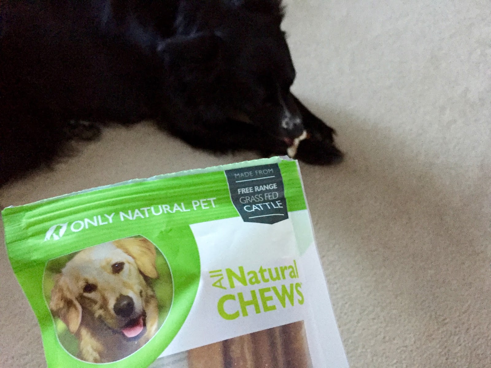 The Simple Life Only Natural Pet Review