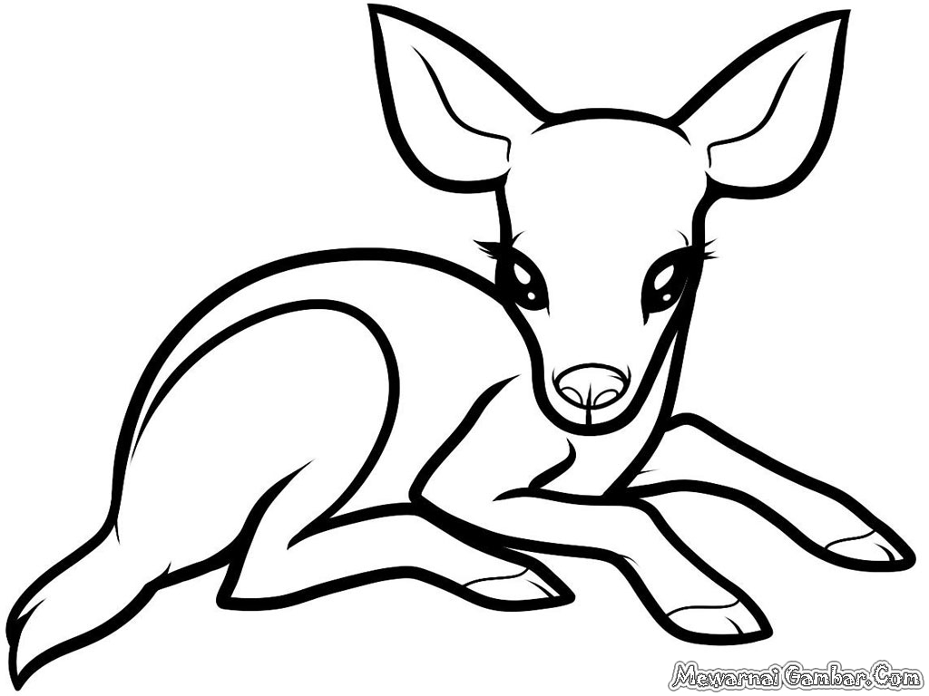Gambar Rusa Untuk Diwarnai