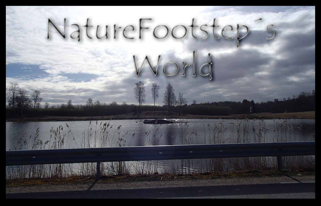 NatureFootsteps World 