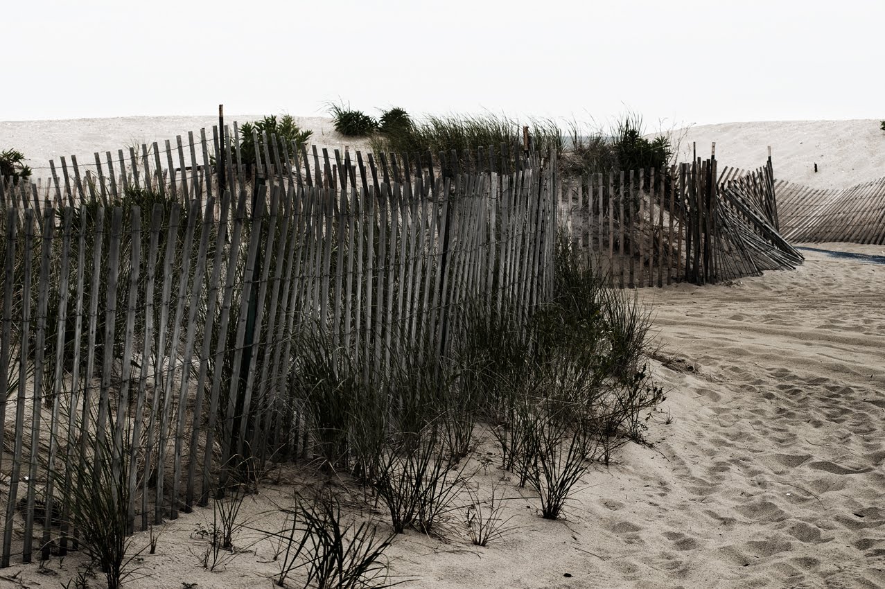 Beaches Without People