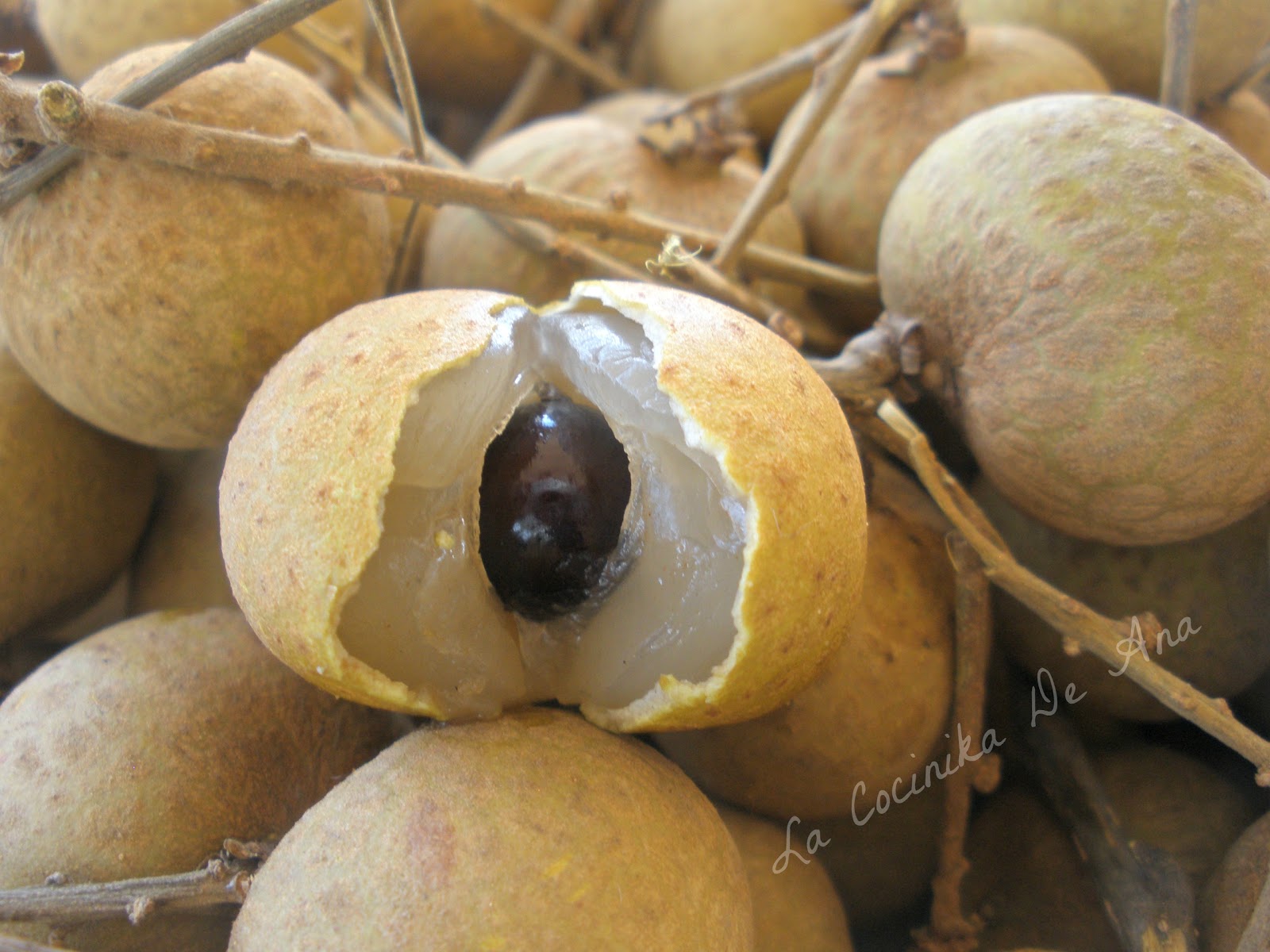 La Cocinika De Ana Longan 龙眼 (Ojo de dragón)