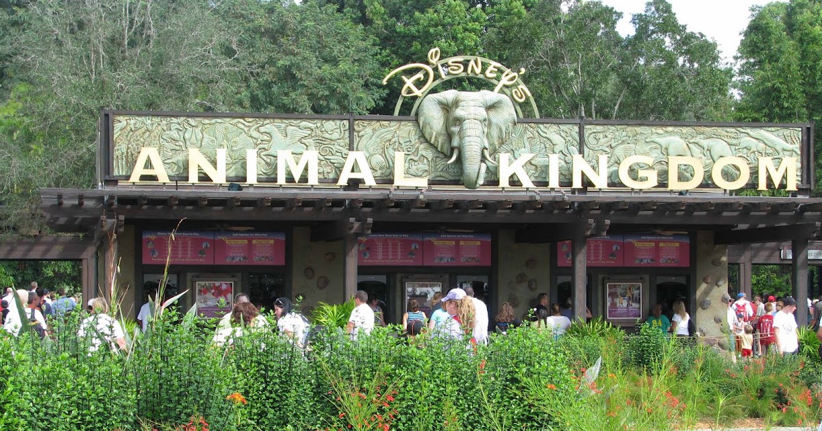 The Disney's Animal Kingdom One Day Must See Guide | Disney World Blog