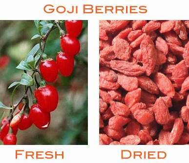 Top 10 Health Benefits of Goji Berries Top 10 Health Benefits of Goji Berries