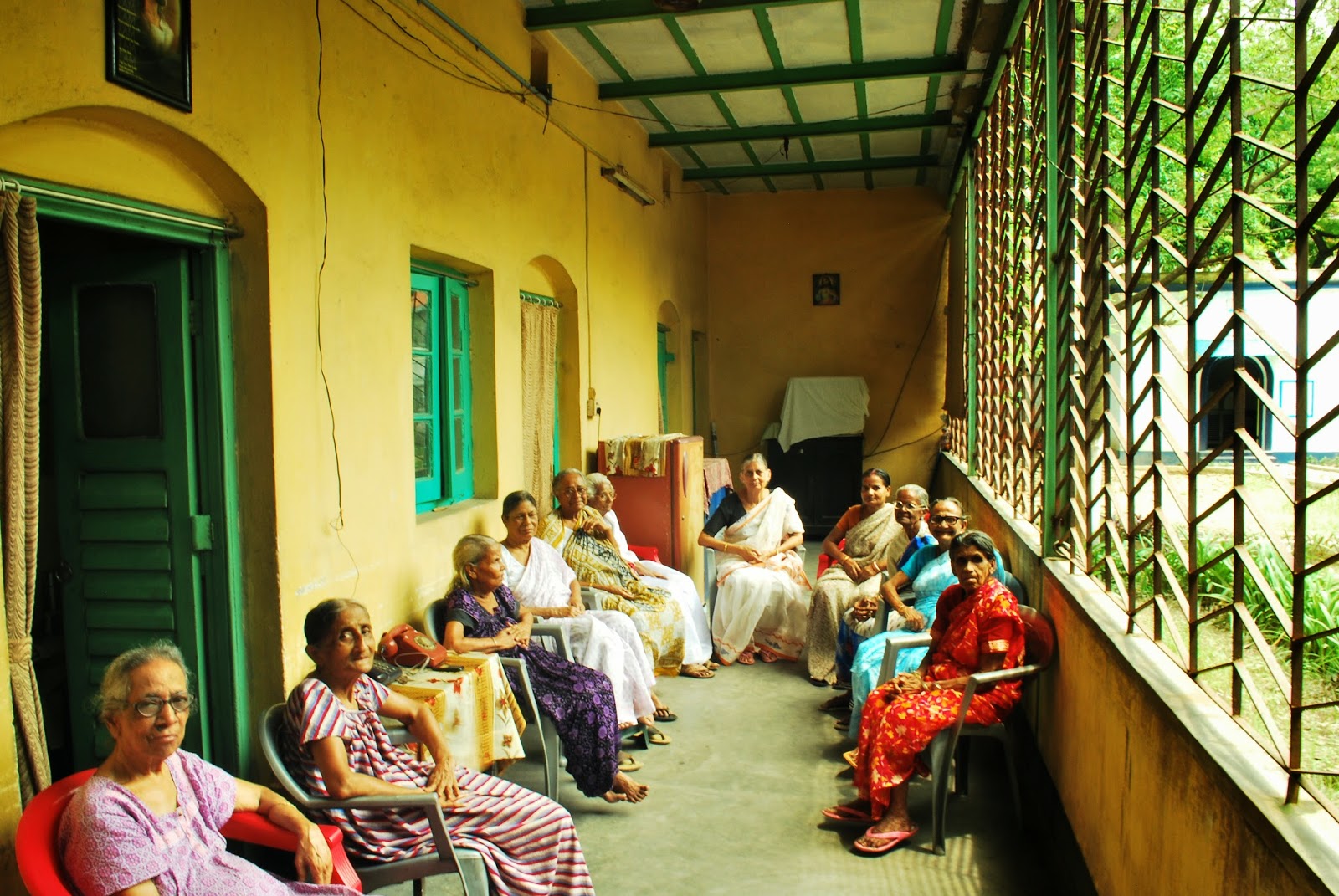 Does planting trees help fight climate change? Planting fruit trees at